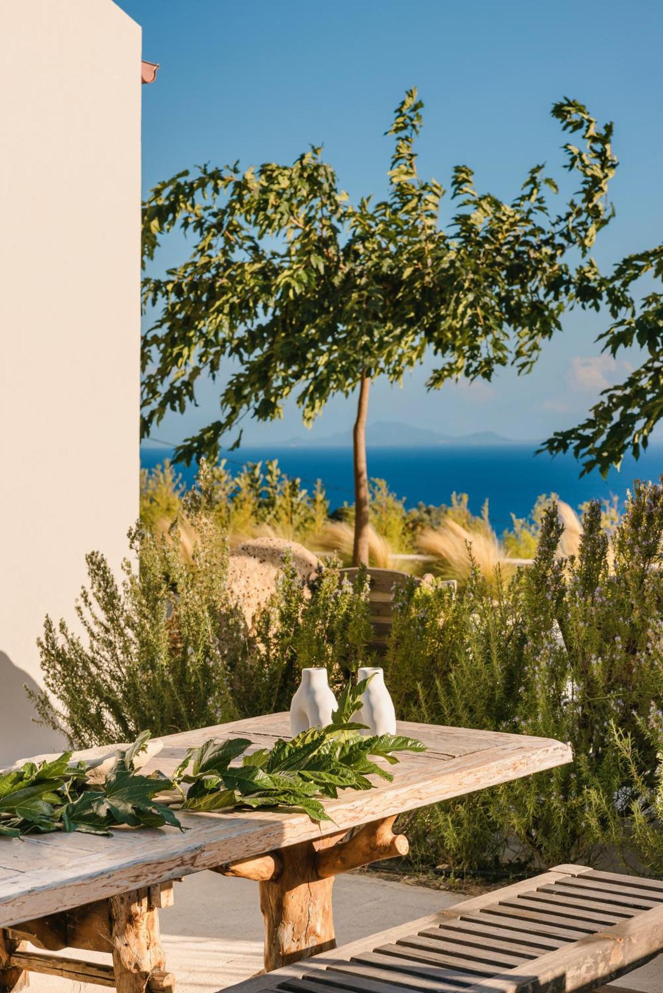Spathes Suites Kefalonia - Luxury Suites Ratzaklion Ngoại thất bức ảnh