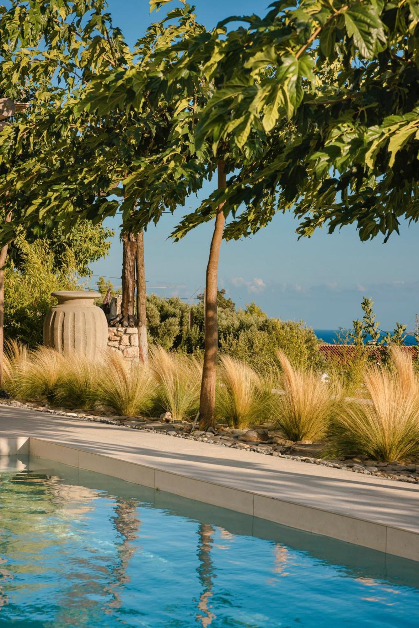 Spathes Suites Kefalonia - Luxury Suites Ratzaklion Ngoại thất bức ảnh